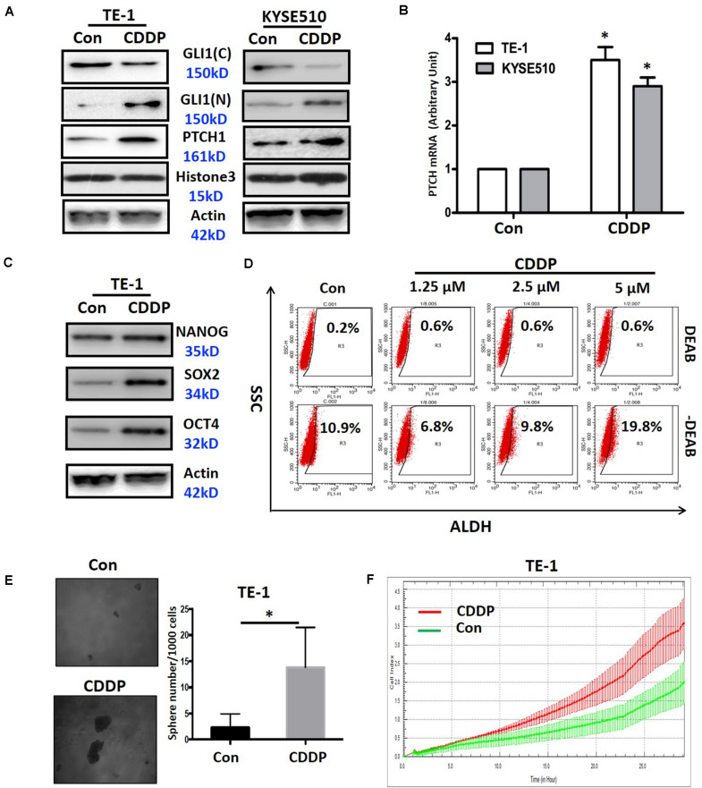 FIGURE 3