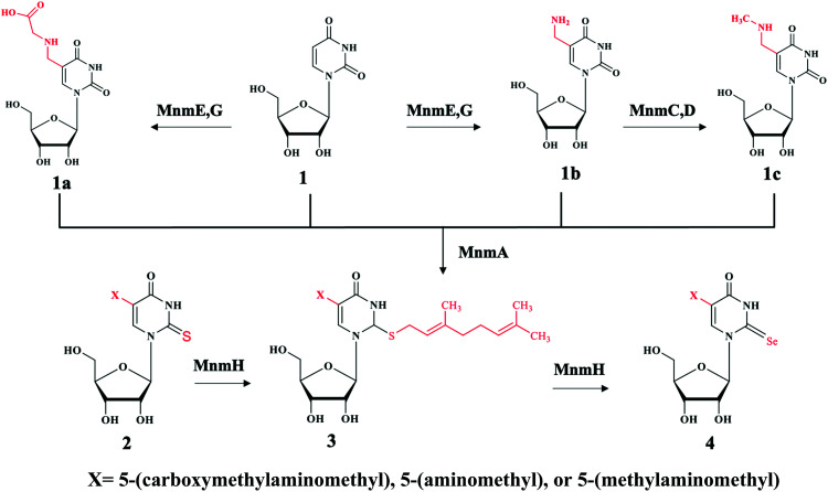 Fig. 3