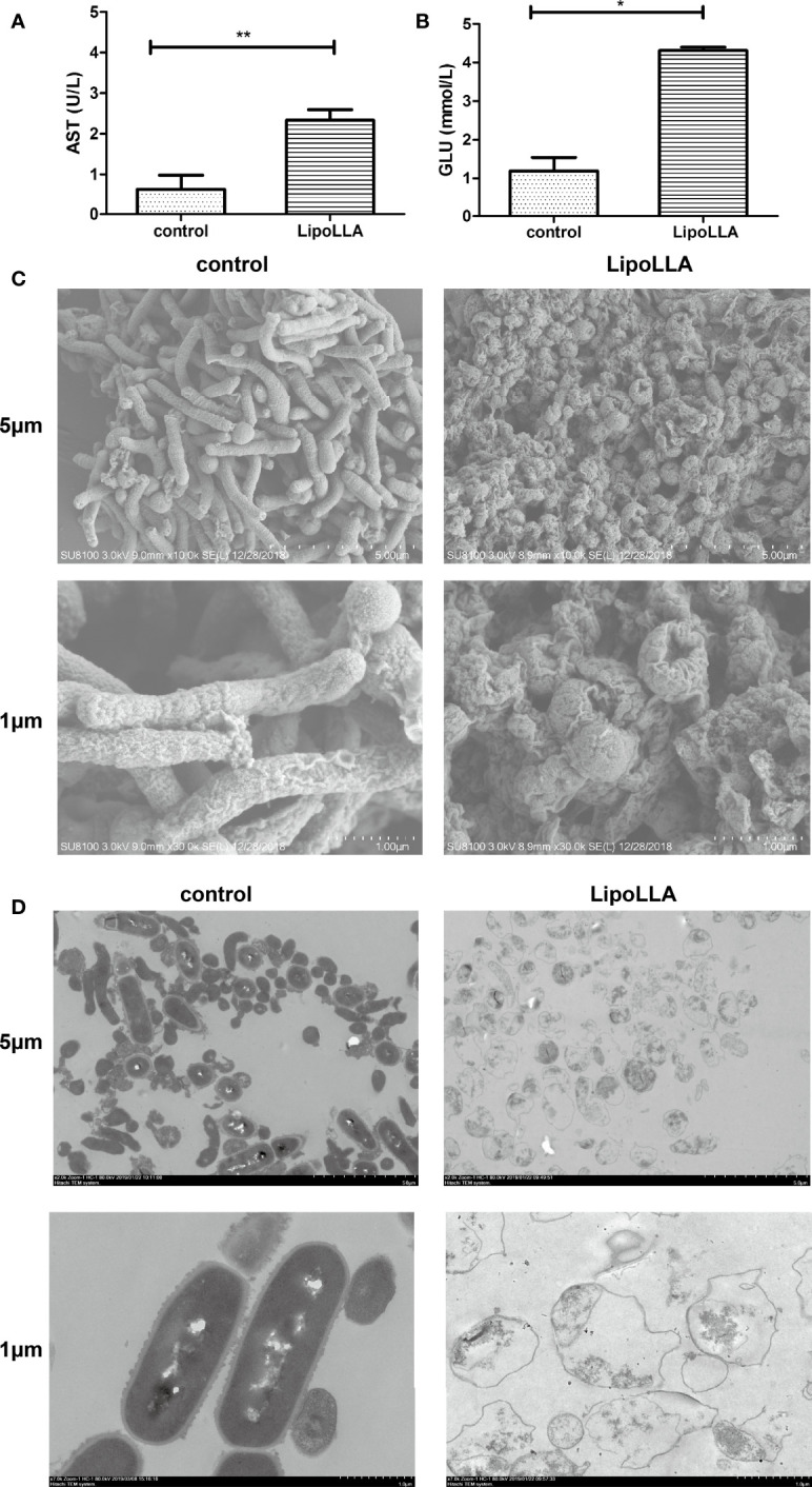 Figure 4