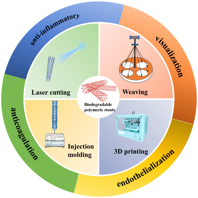 Development of Biodegradable Polymeric Stents for the Treatment of ...