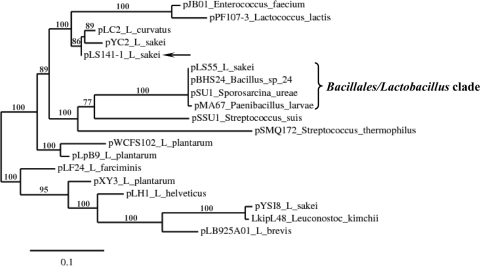 Fig. 3.