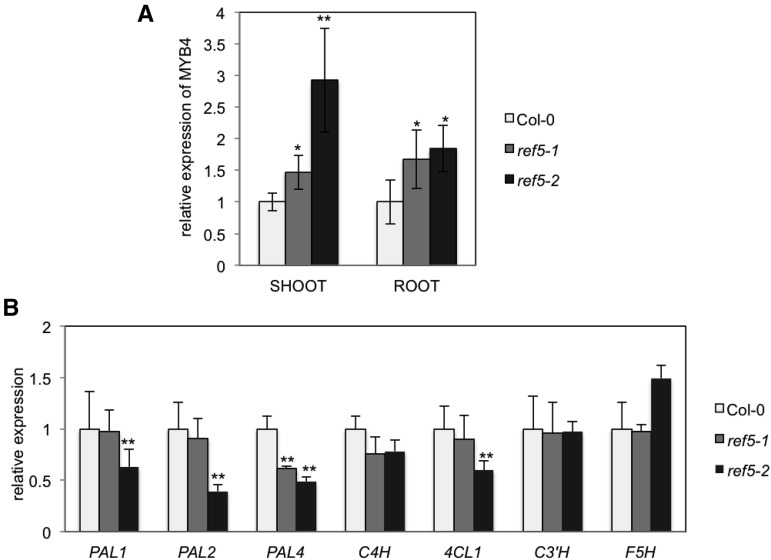 Figure 11.