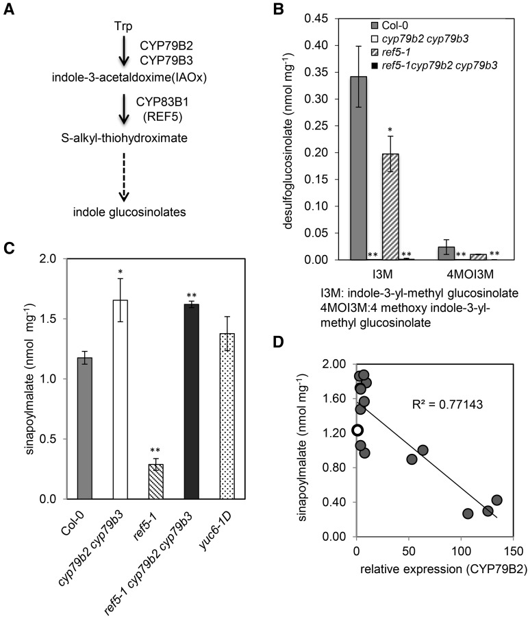 Figure 3.