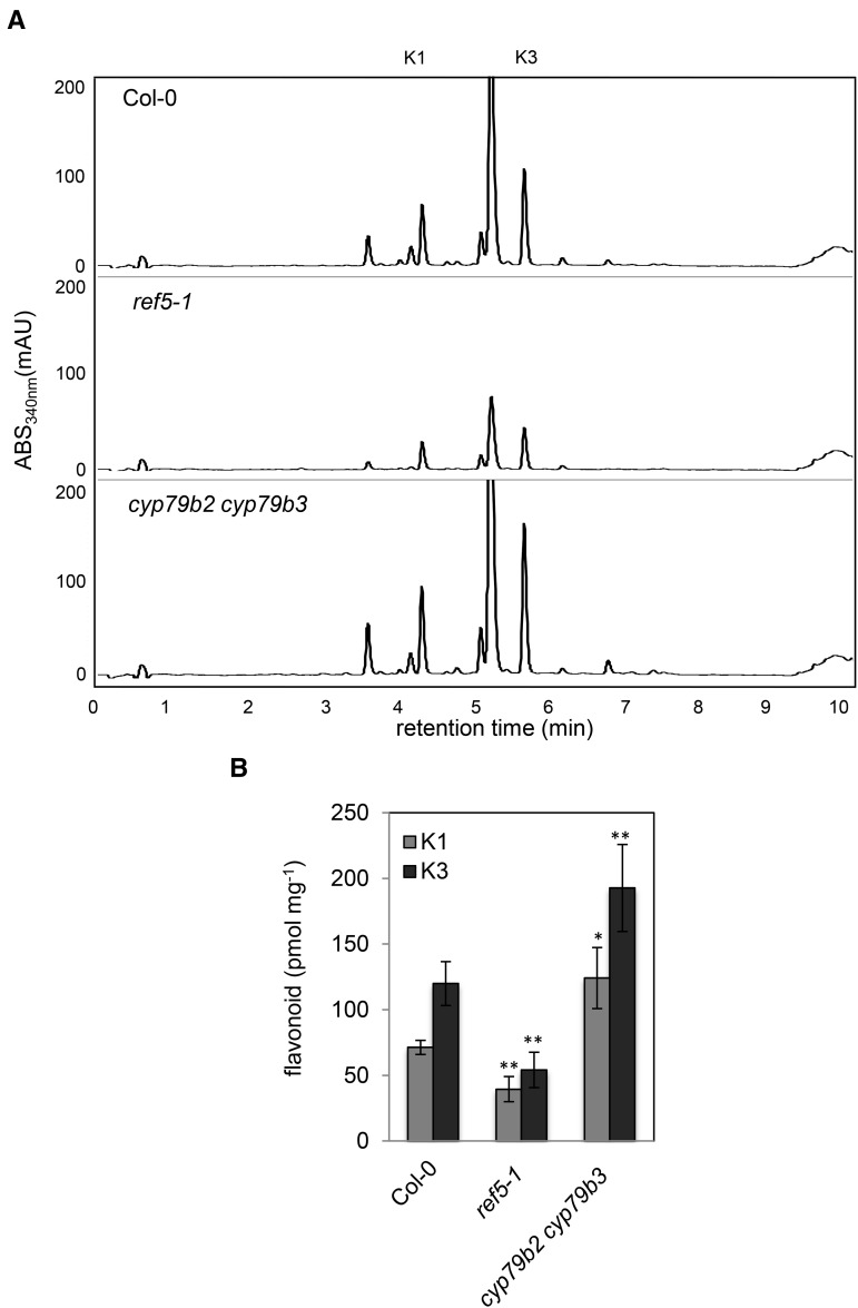 Figure 7.