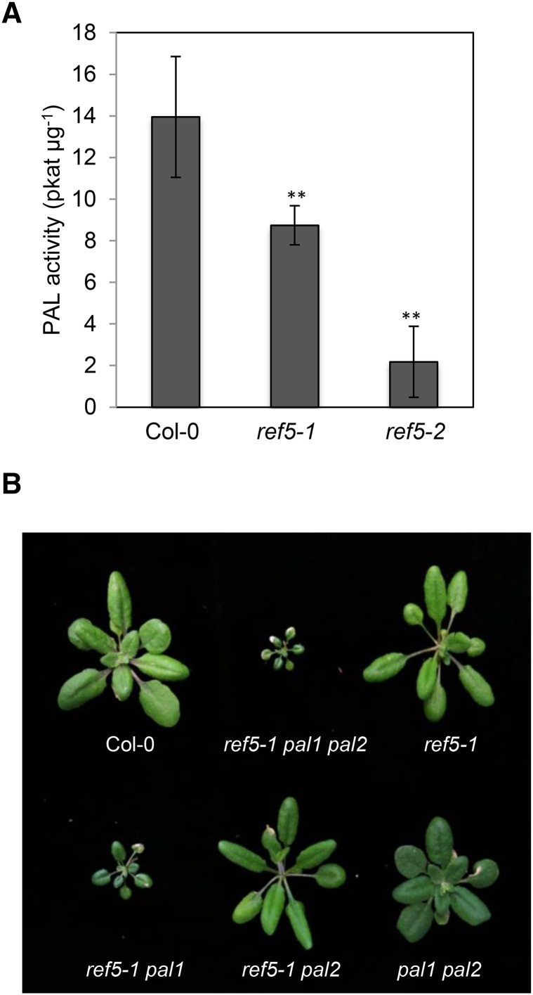 Figure 9.