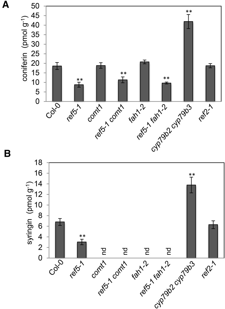 Figure 6.