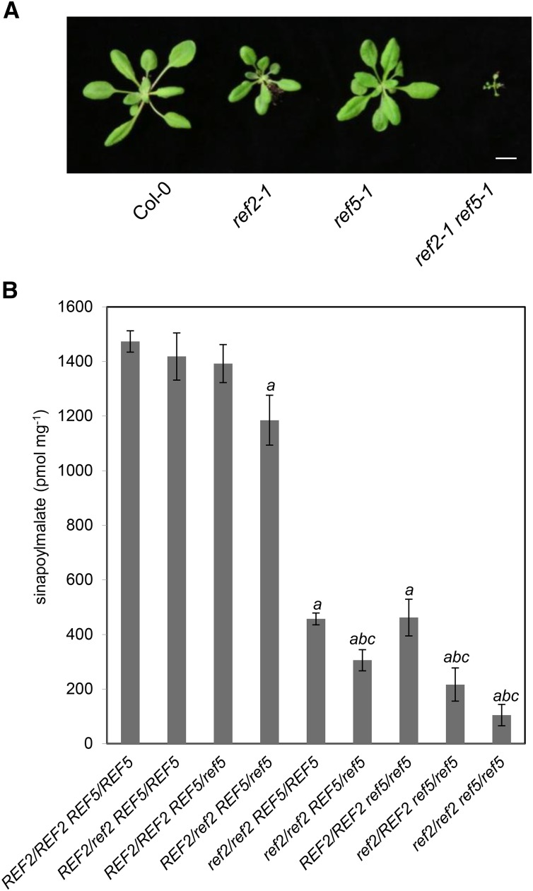 Figure 4.