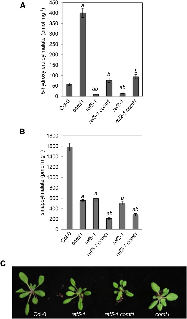 Figure 5.