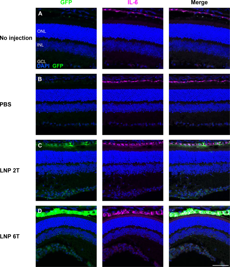 Figure 6.