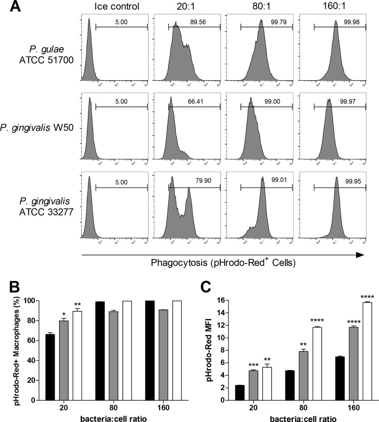 FIG 3