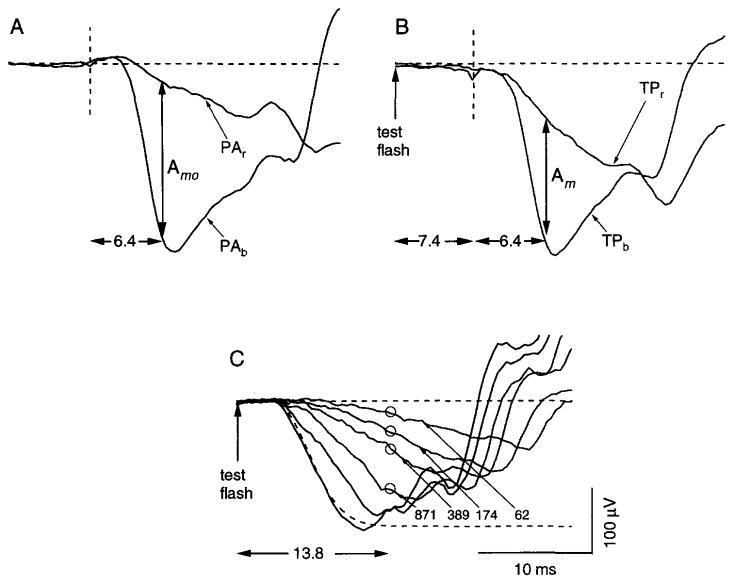 Fig. 5