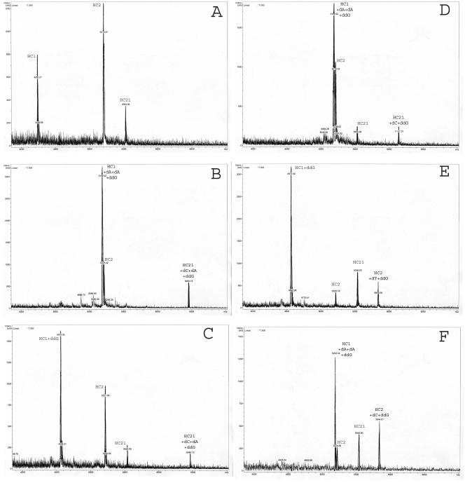 FIG. 2.