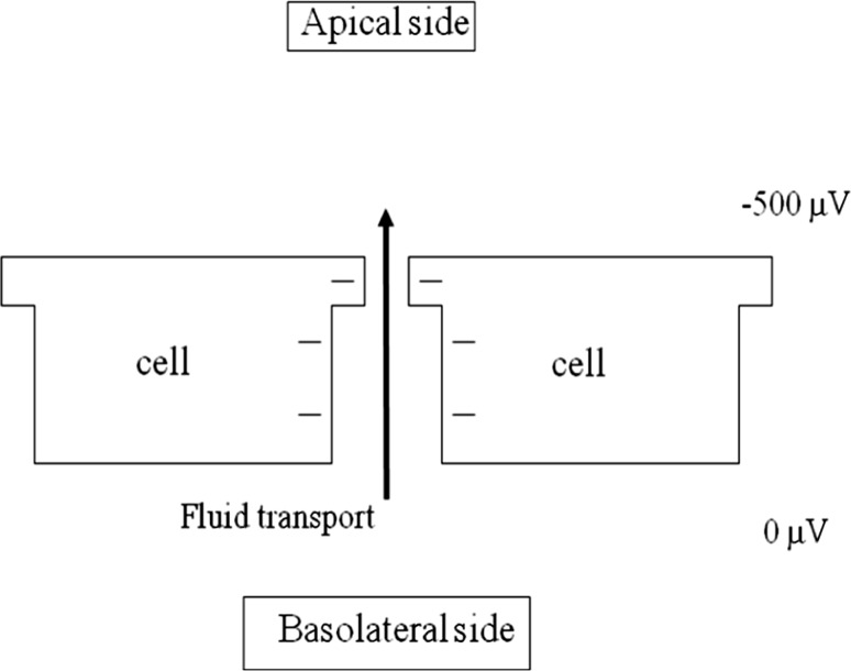 Fig. 2