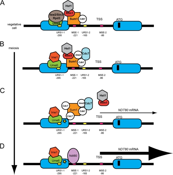 Fig 8