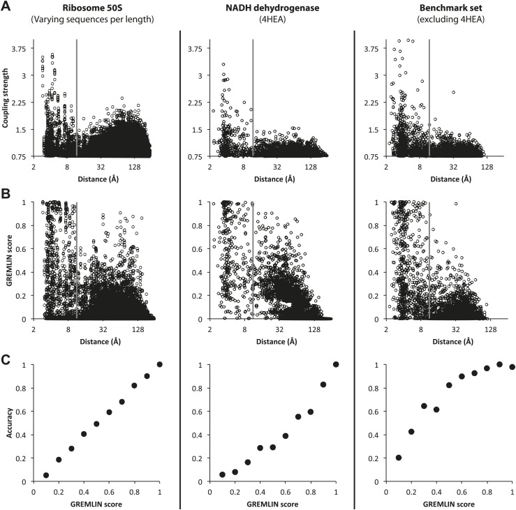 Figure 1—figure supplement 1.