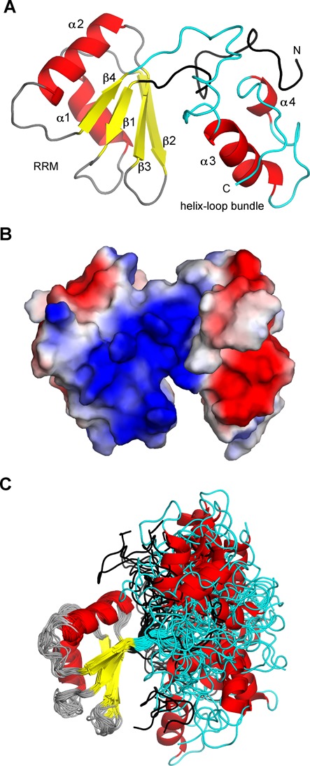 Figure 2.