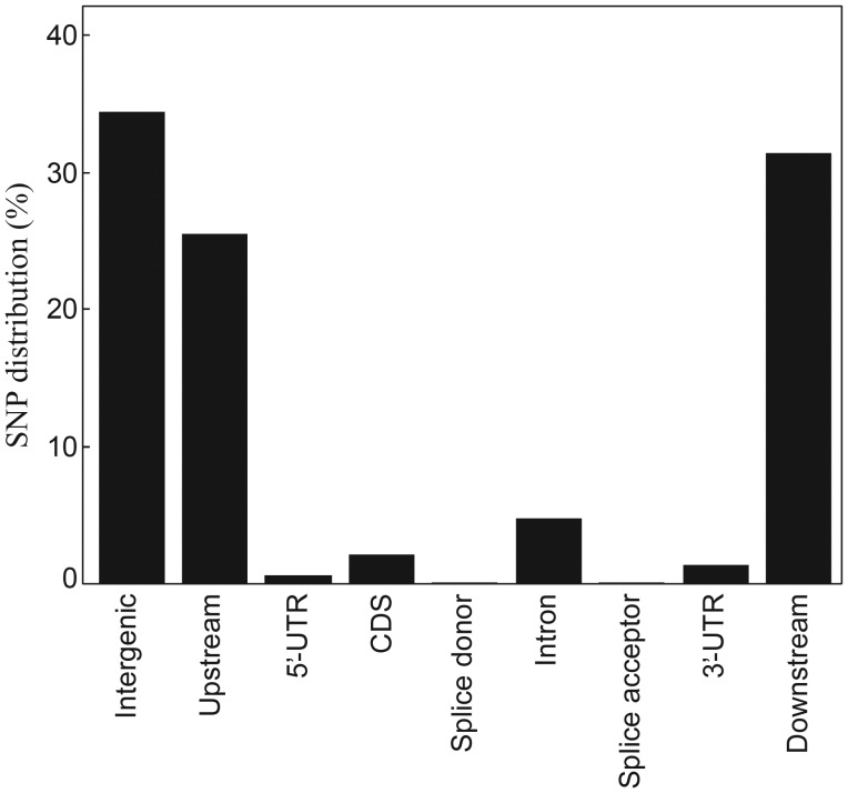 Figure 1.