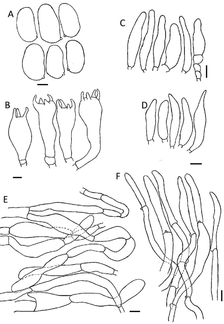 Figure 3.