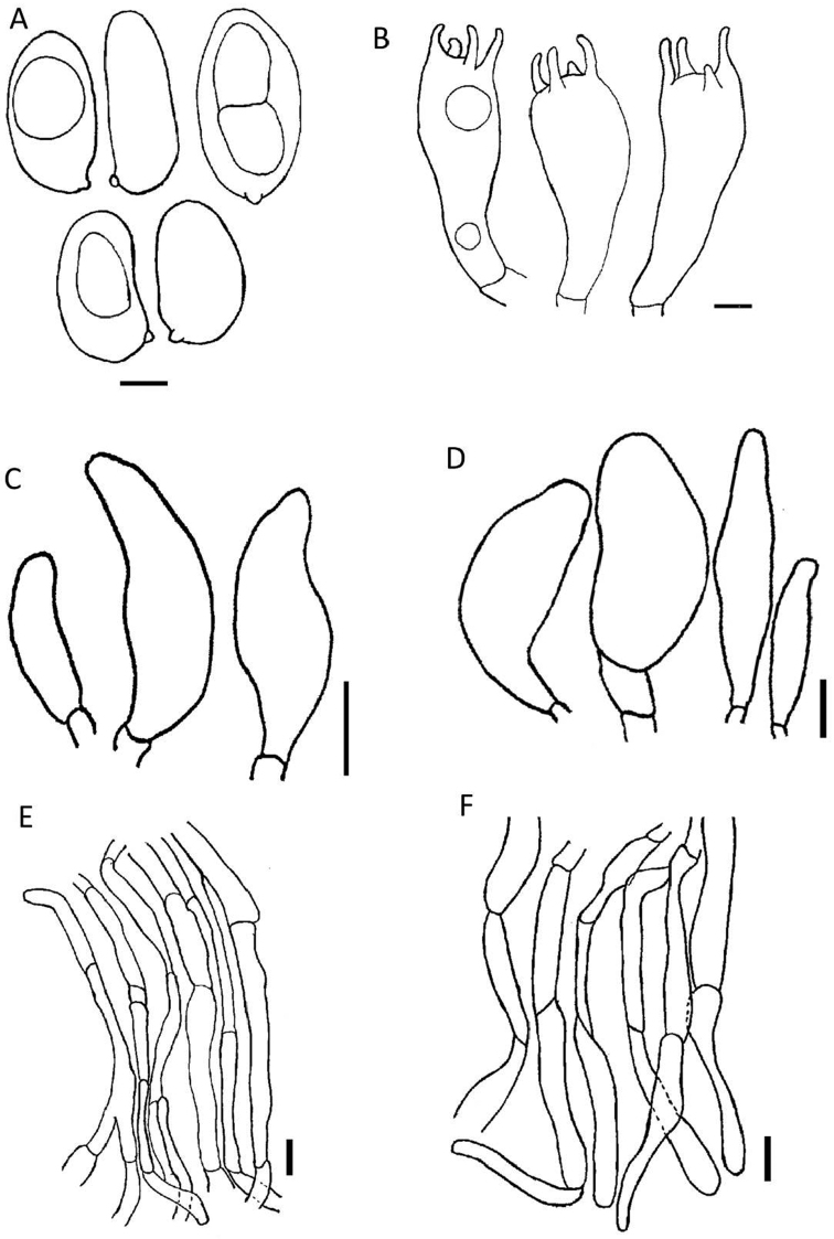 Figure 4.