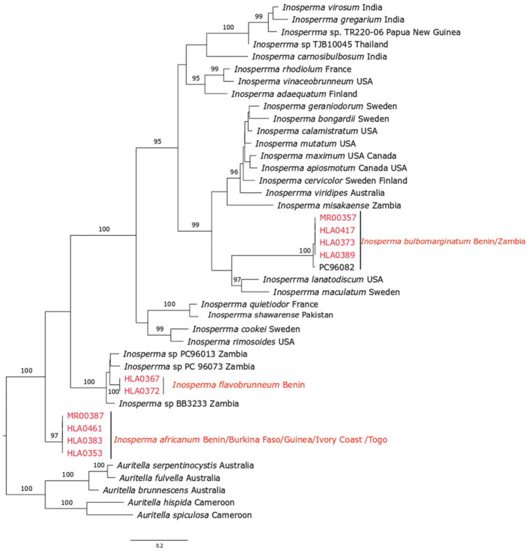 Figure 6.