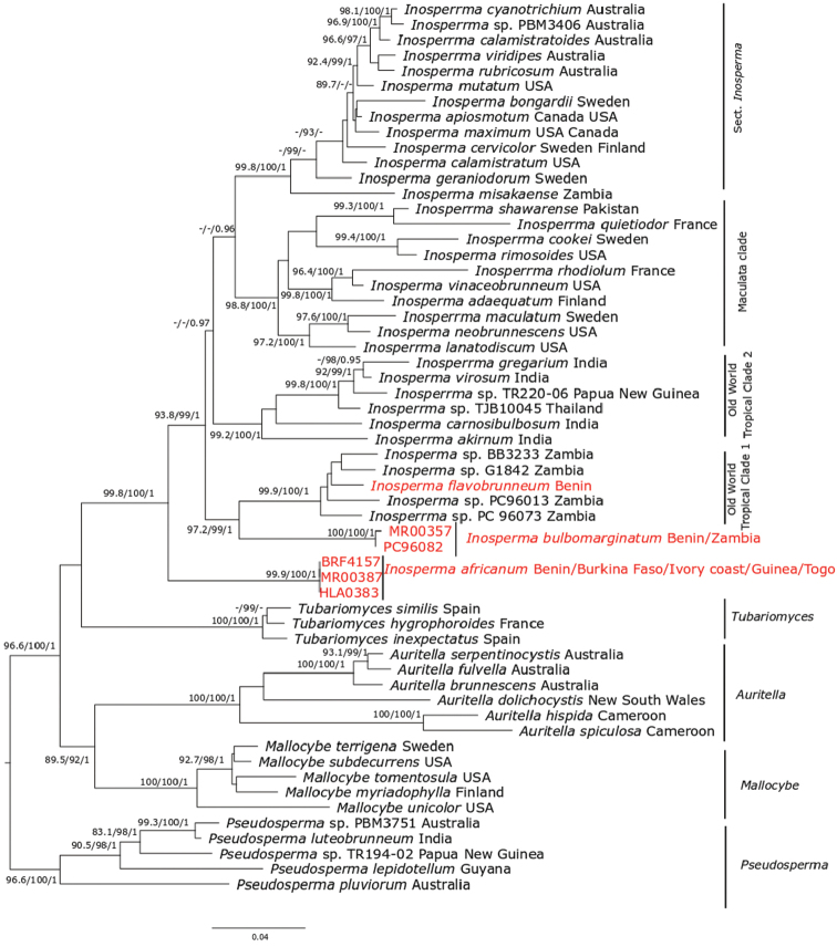 Figure 1.