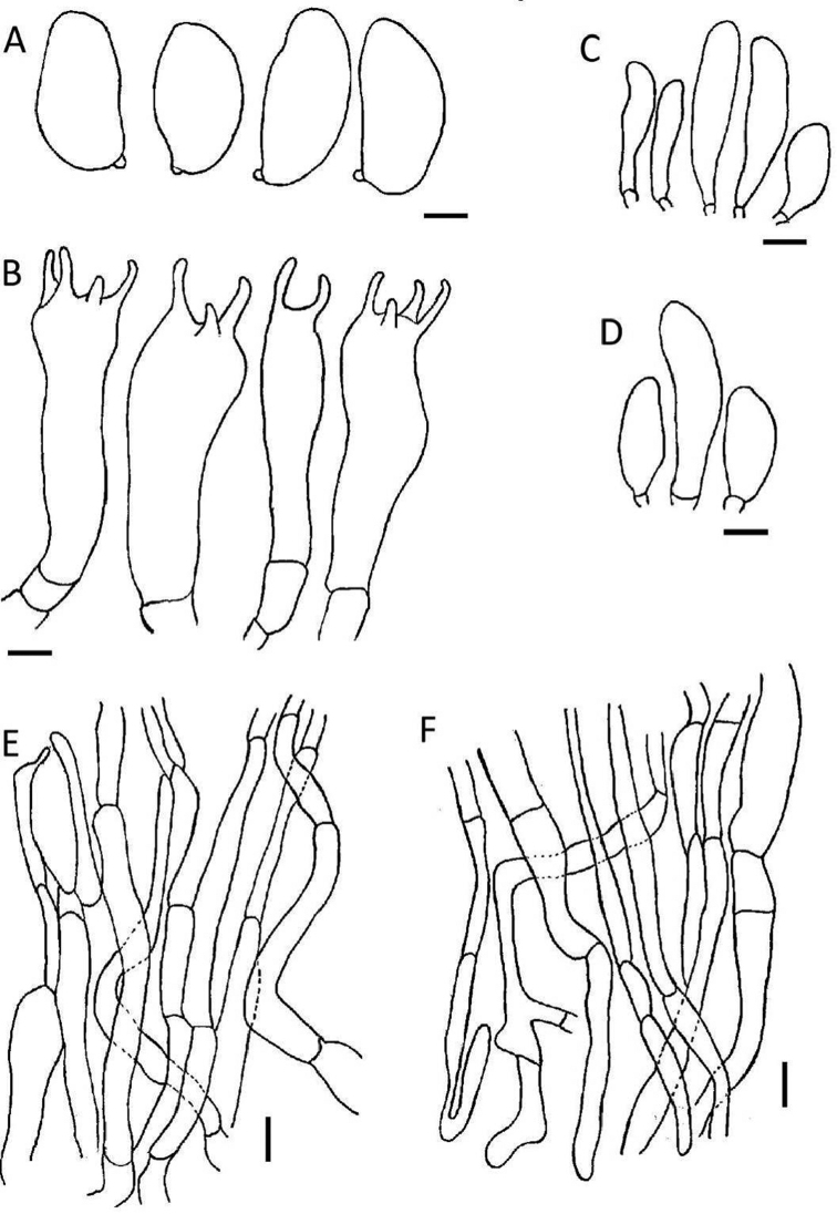 Figure 5.