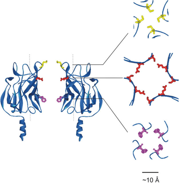 Figure 3.