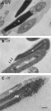 FIG. 5.