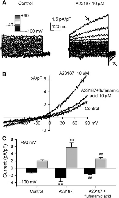 Fig. 7