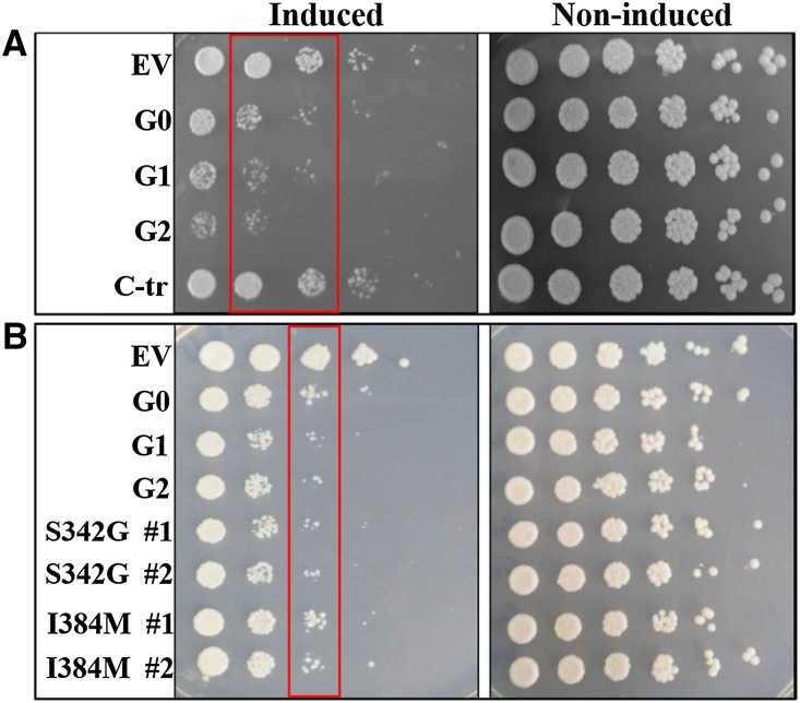 Figure 3.