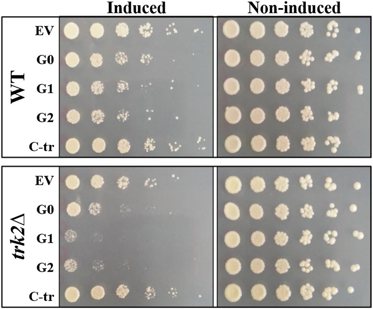 Figure 9.