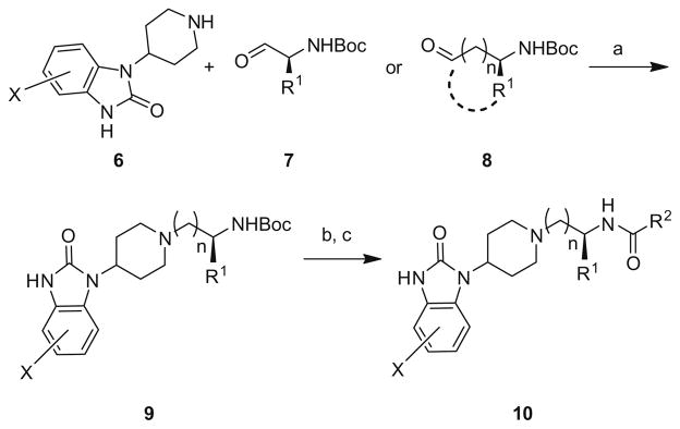 Scheme 1