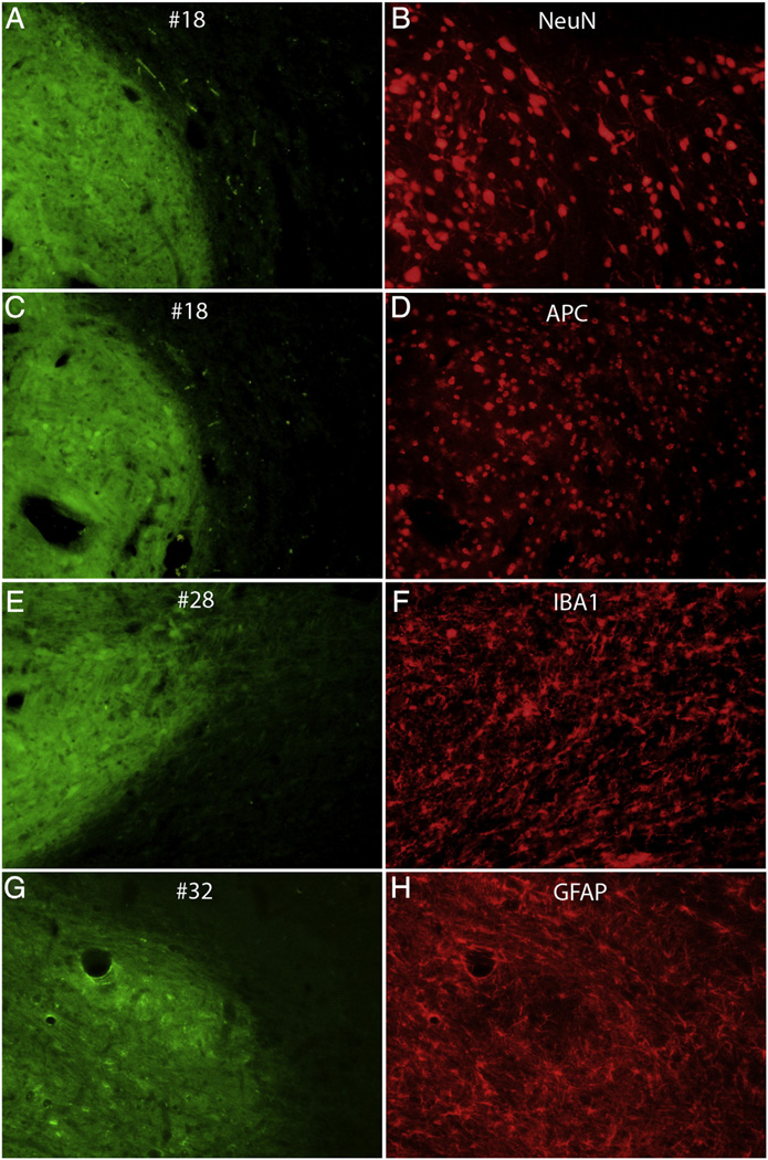 Fig. 6