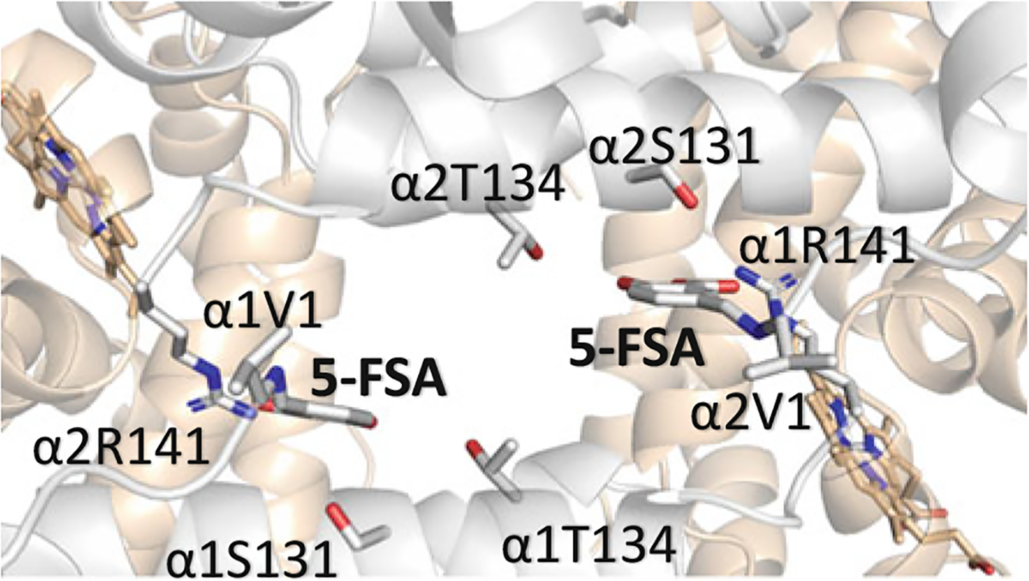 Fig. 14.21