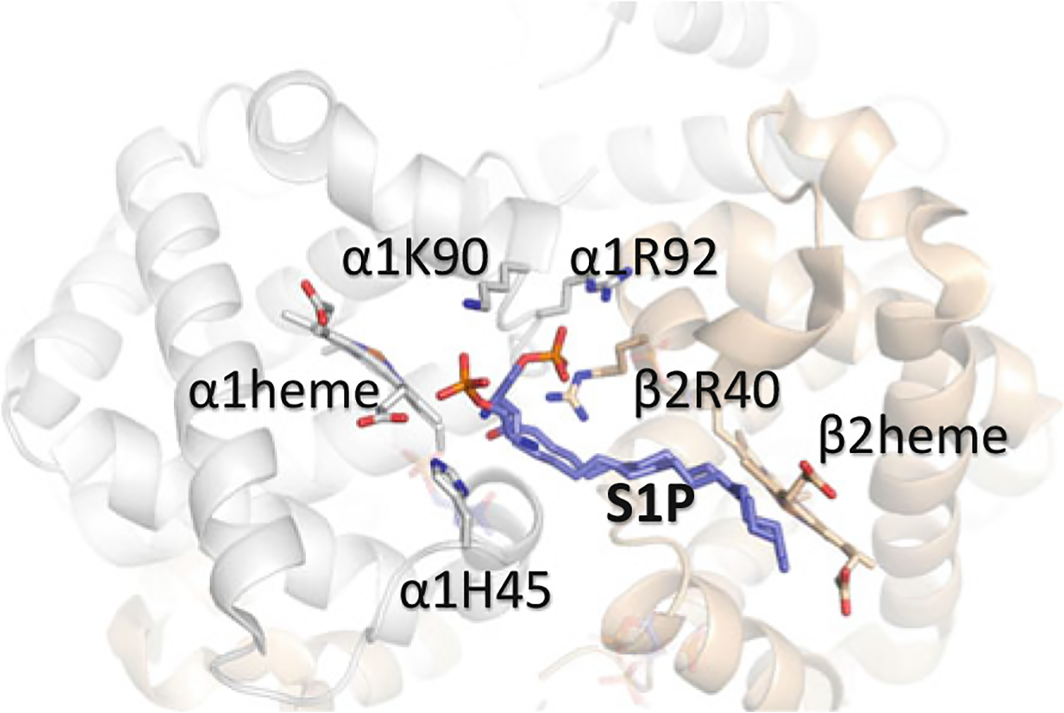 Fig. 14.8