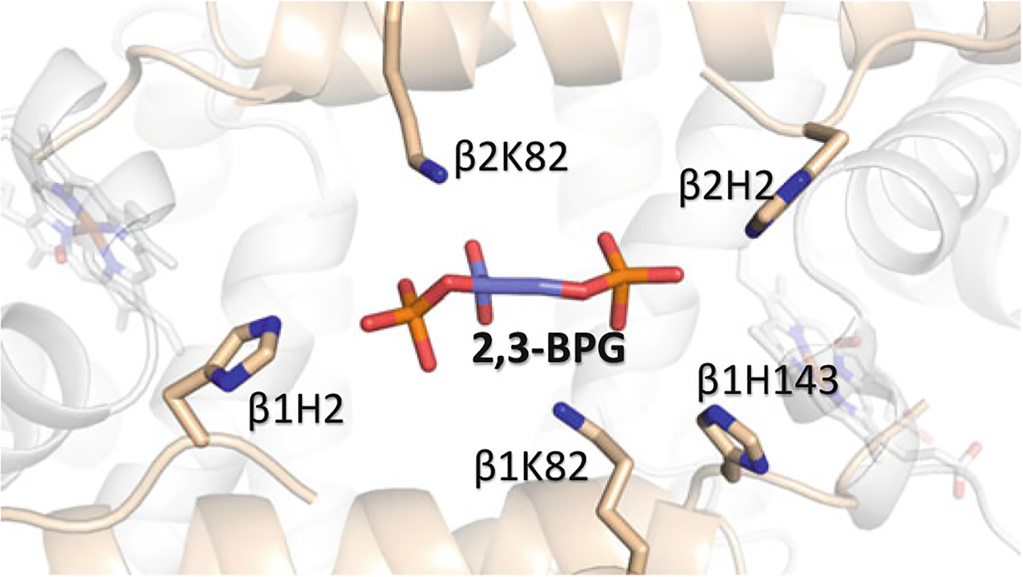 Fig. 14.7