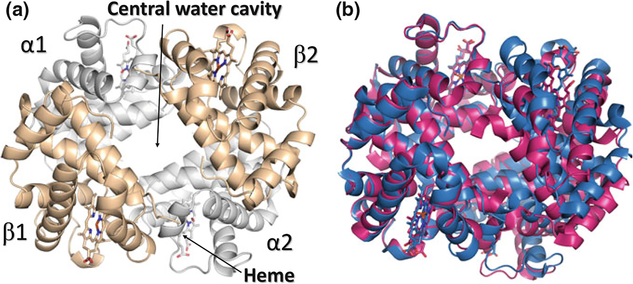 Fig. 14.2