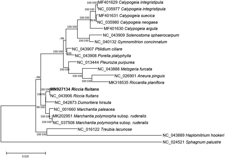 Figure 1