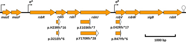 FIG 2