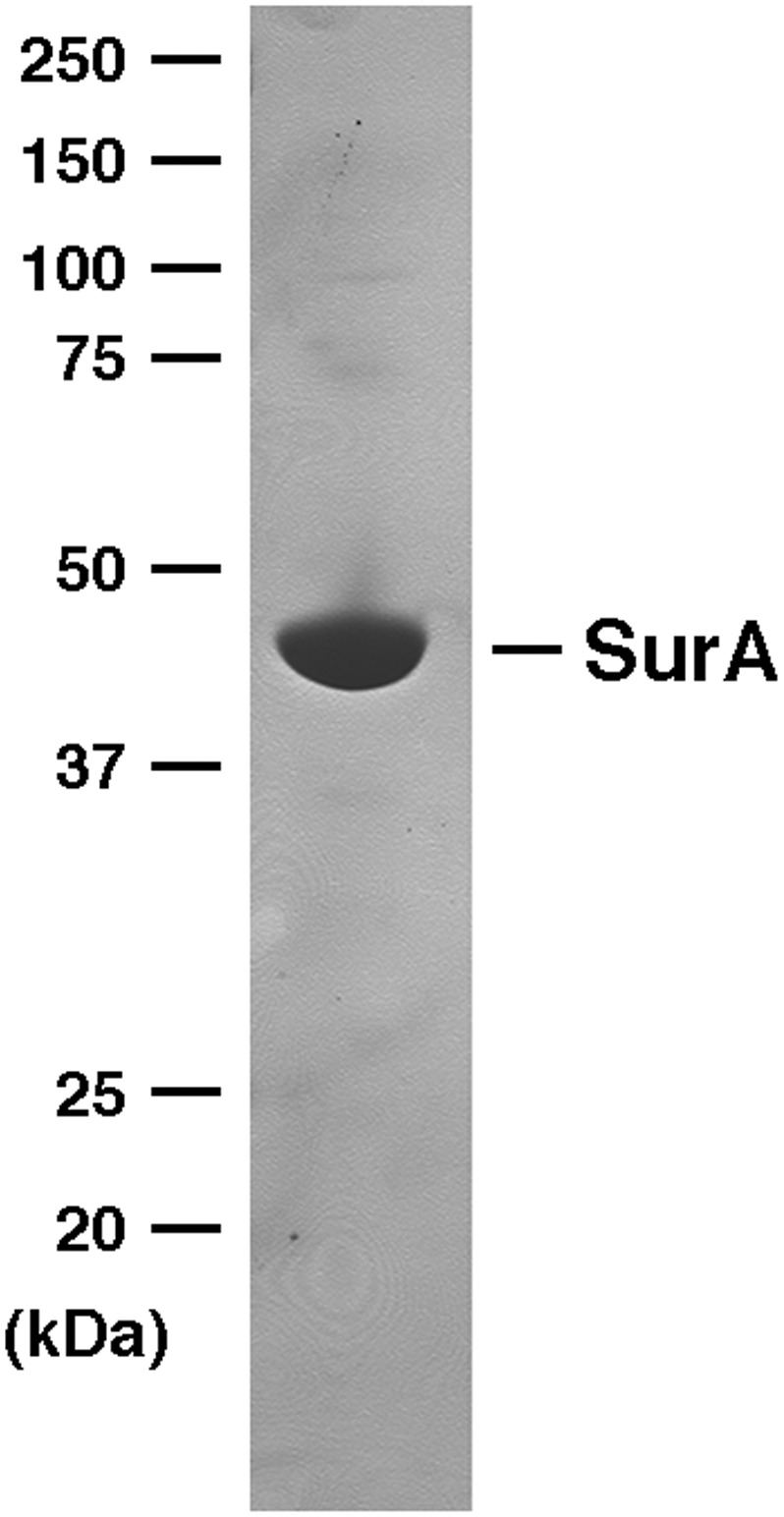 Figure 2—figure supplement 2.