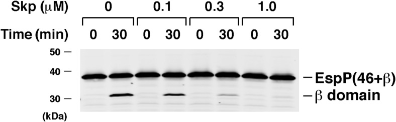 Figure 3—figure supplement 3.