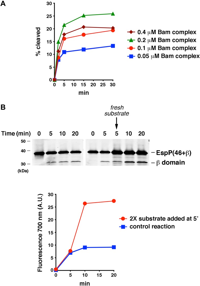 Figure 3—figure supplement 4.