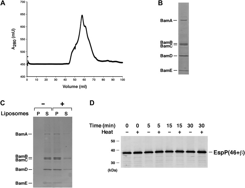 Figure 2—figure supplement 1.