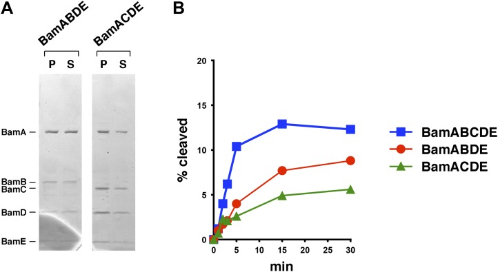 Figure 3—figure supplement 2.