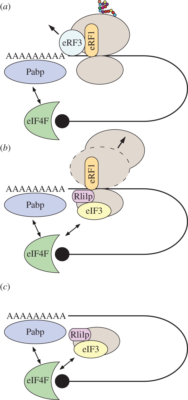 Figure 1.