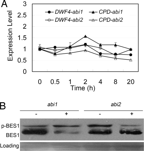 Fig. 5.