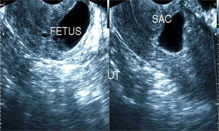 Fig. 7