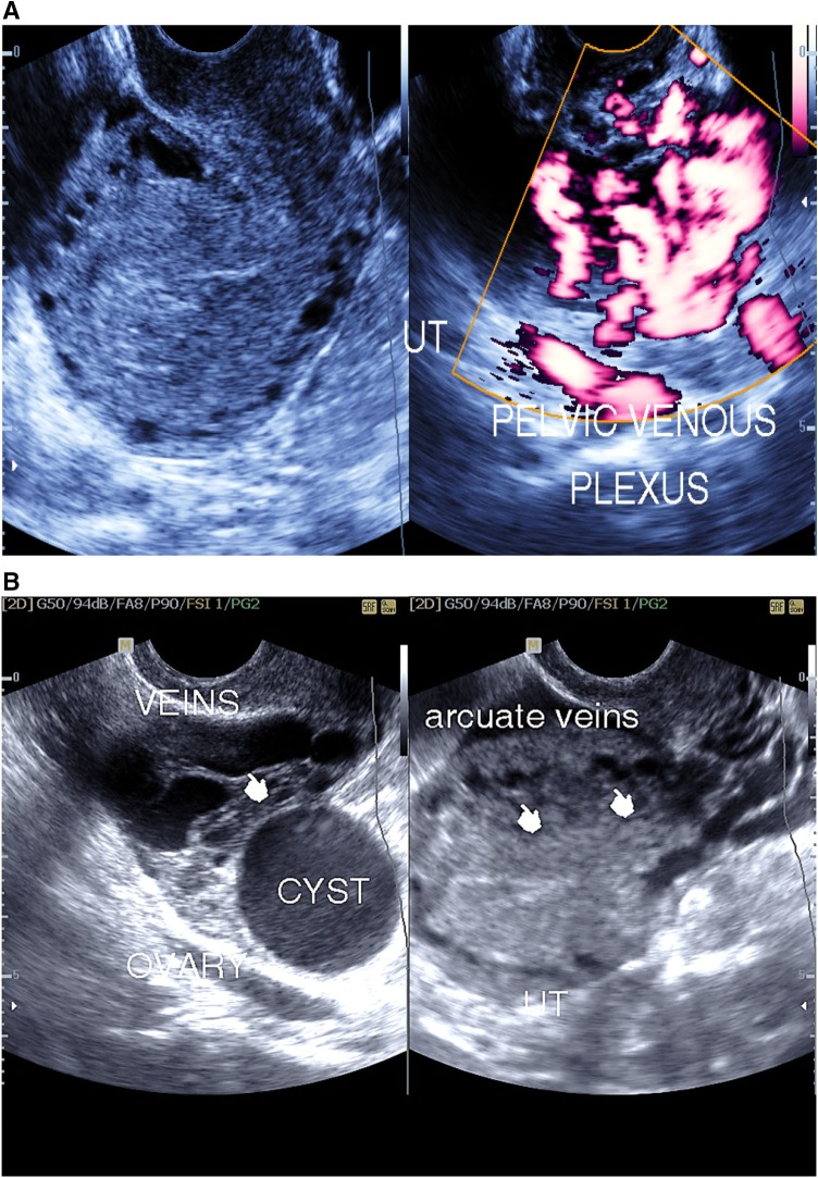 Fig. 3