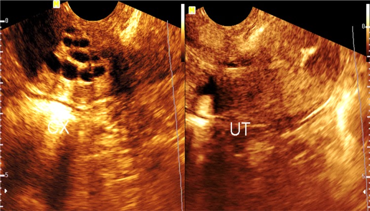 Fig. 6