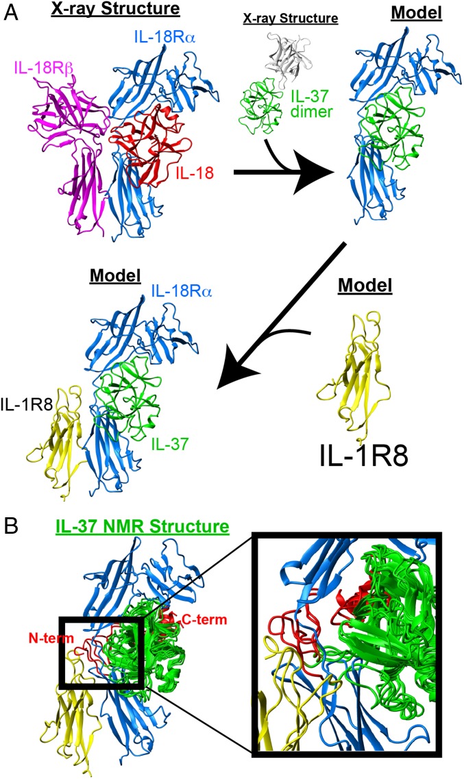 Fig. 7.